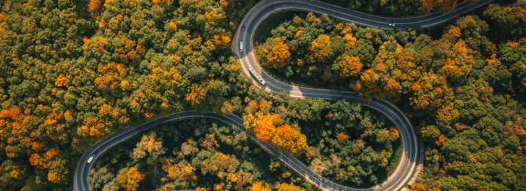 Intentemos enderezar los caminos tortuosos de nuestra vida cotidiana redescubriendo el amor por el otro