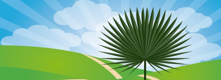 Como Cristo, el hombre y la mujer son también libremente don y respuesta el uno para el otro