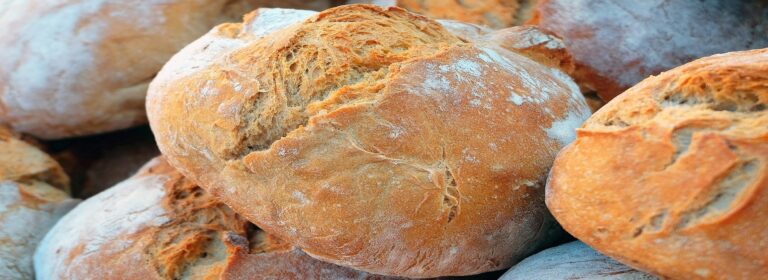 Es Jesús quien transforma nuestro ser frágil, herido y pequeño en una obra maestra. ¡La familia es la obra maestra de Dios!