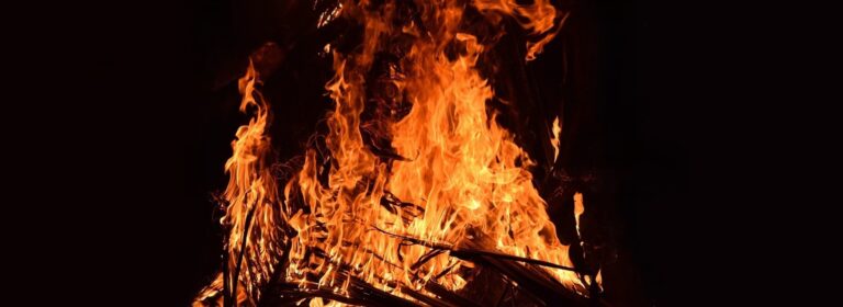 El Espíritu nos enseña un nuevo amor que puede captar la belleza de la presencia divina en nuestra familia