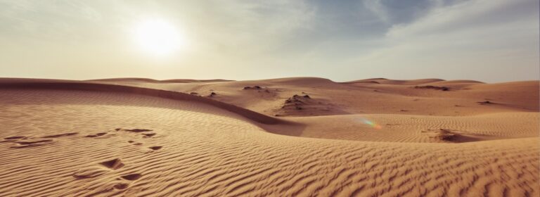 Él ha vencido y, con Él, nosotros también podemos vencer