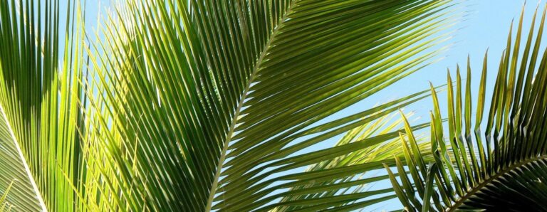 Jesús busca darnos la oportunidad de participar en su victoria sobre el mal, el pecado y la muerte